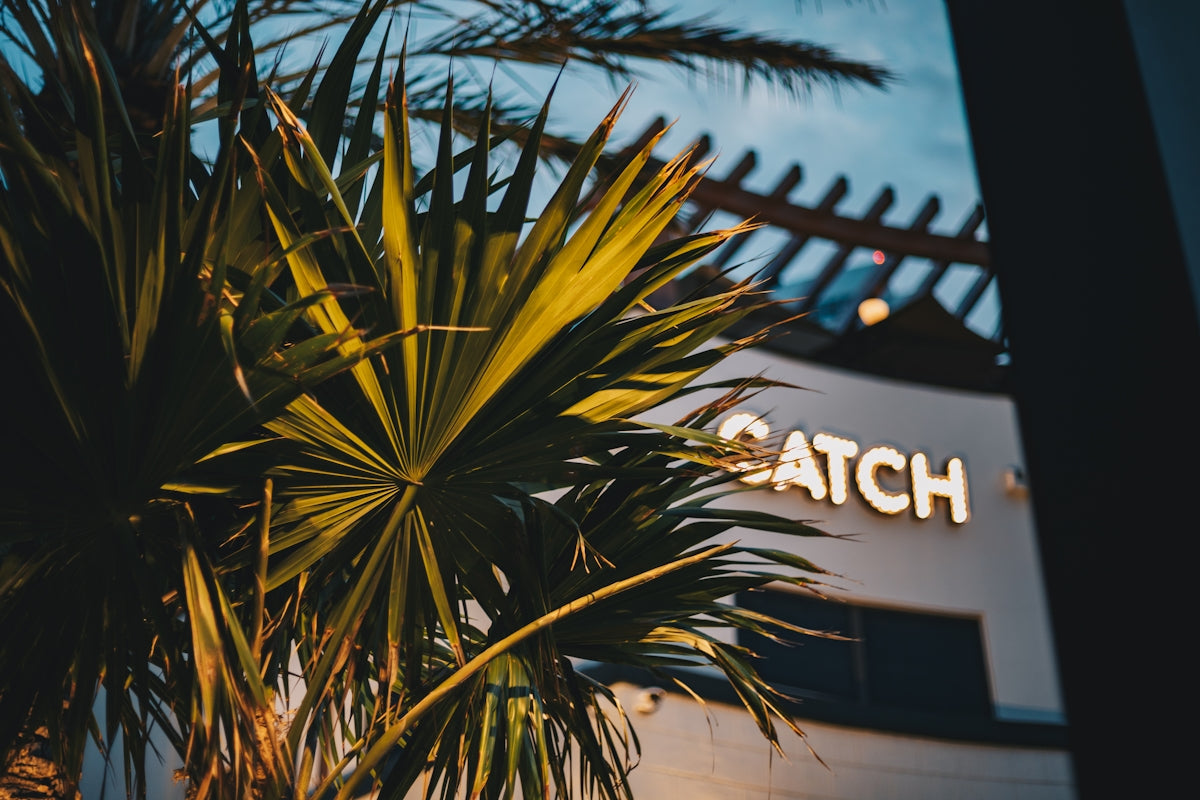 Palm tree in front of a restaurant named catch.